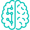 brain